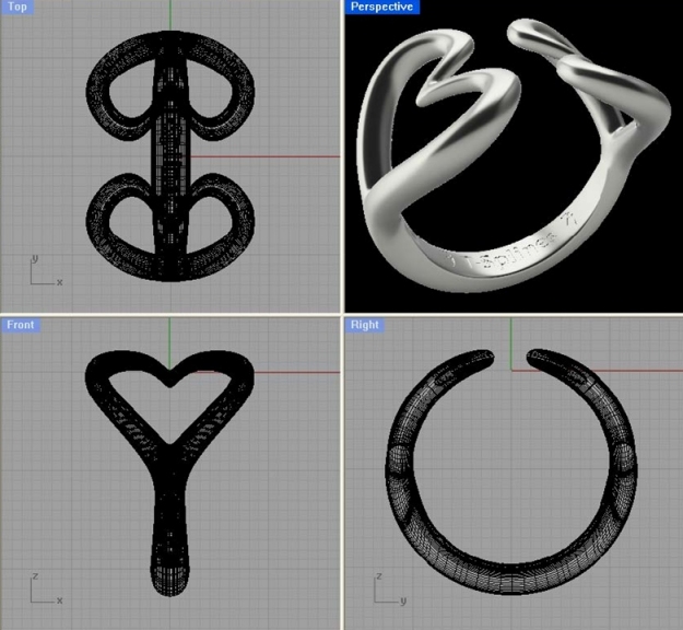 tsplines_ring_37.jpg